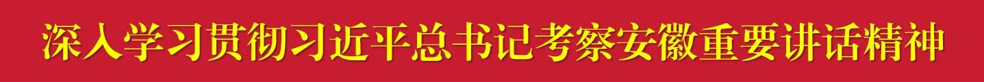 深入學習貫徹習近平總書記考察安徽重要講話精神